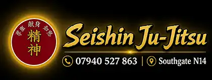 Seishin Ju-Jitsu and Martial Arts All Services