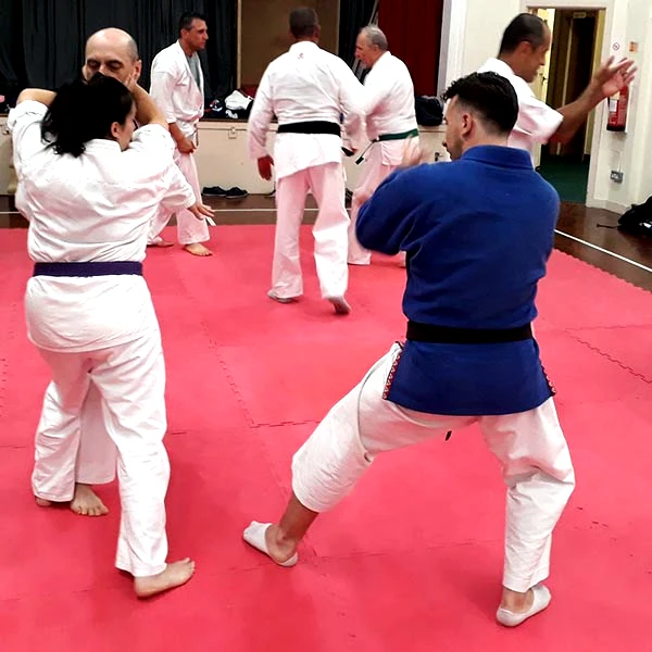 Kyoshi Jason Fitzpatrick at Seishin 10