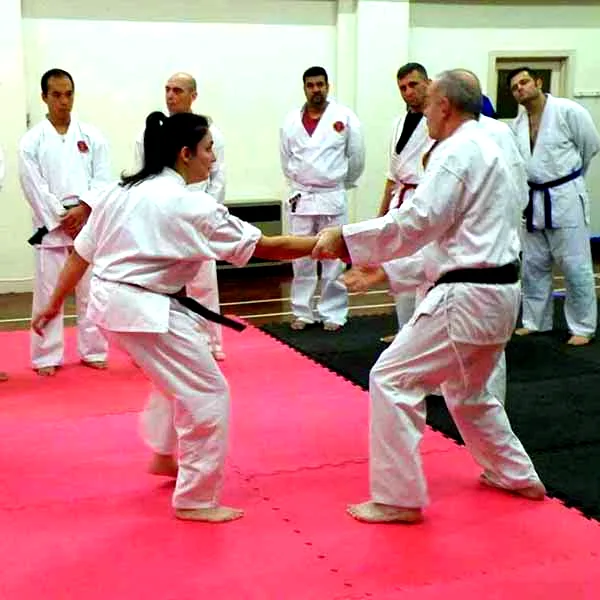 Barnet Jujitsu Club Visit 02