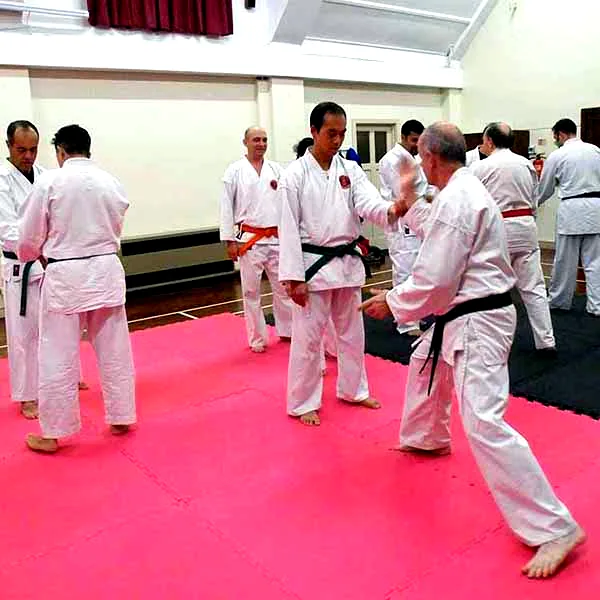 Barnet Jujitsu Club Visit 03