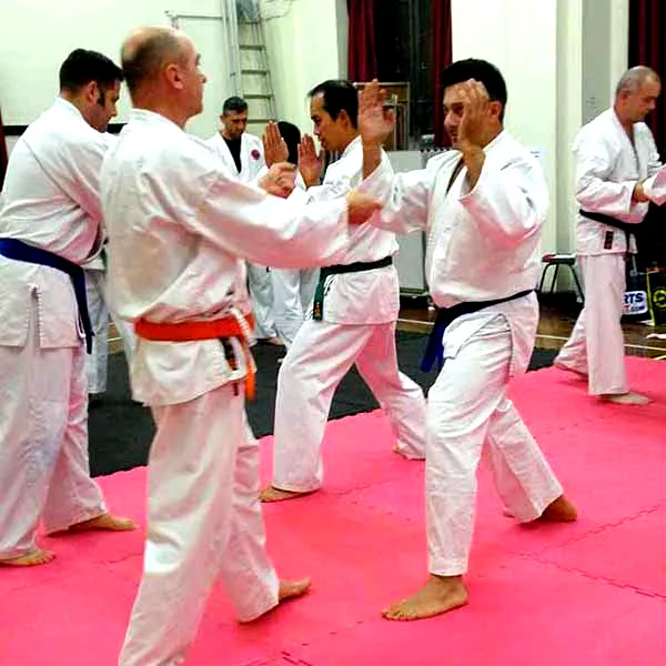 Barnet Jujitsu Club Visit 04