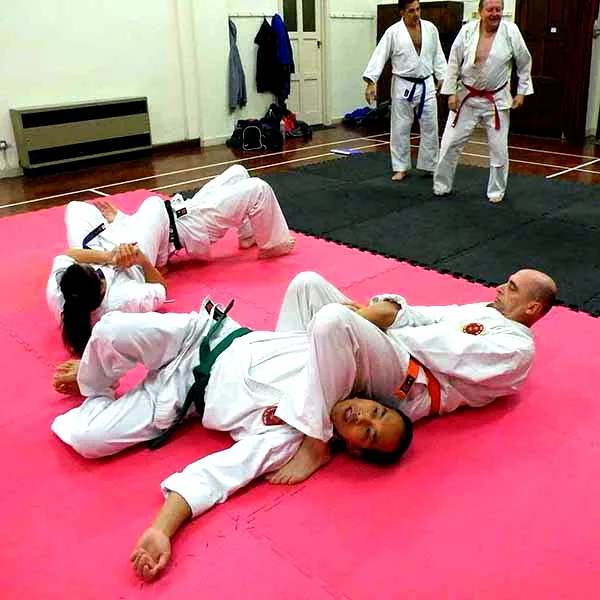 Barnet Jujitsu Club Visit 05