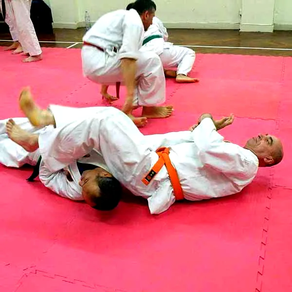 Barnet Jujitsu Club Visit 06