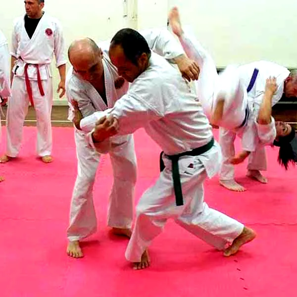 Barnet Jujitsu Club Visit 07
