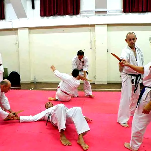 Barnet Jujitsu Club Visit 11