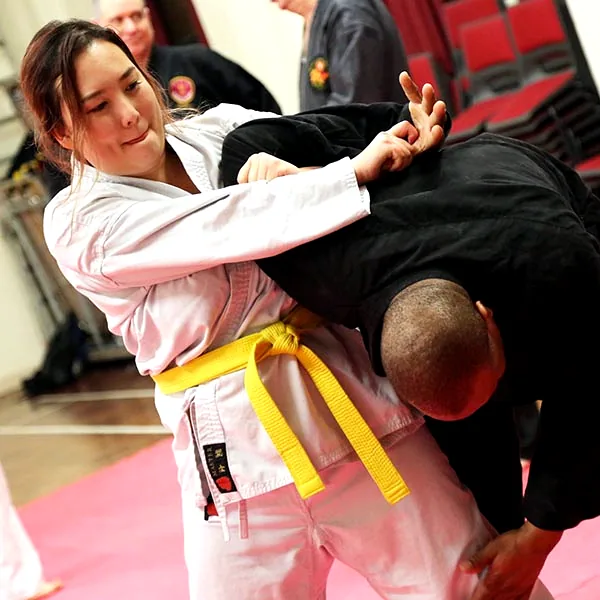 Kyoshi Gary Maas at Seishin 09