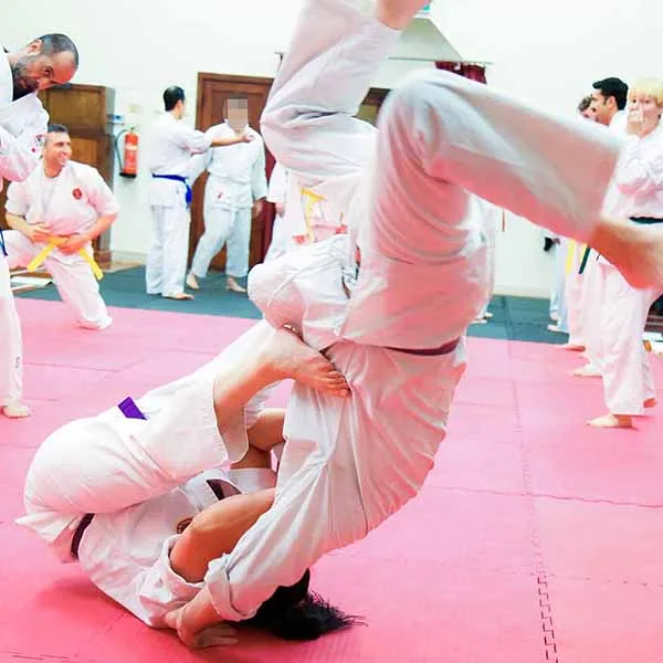 Carla Brown Belt Grading 2019 04