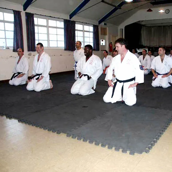 Bio on Sensei John Michell05