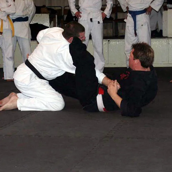 Bio on Sensei John Michell08
