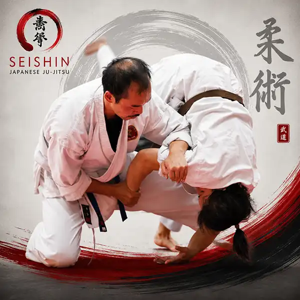 Jiu-Jitsu Self Defence 08