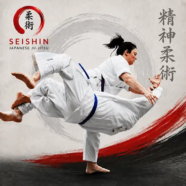 Jiu-Jitsu Self Defence 12