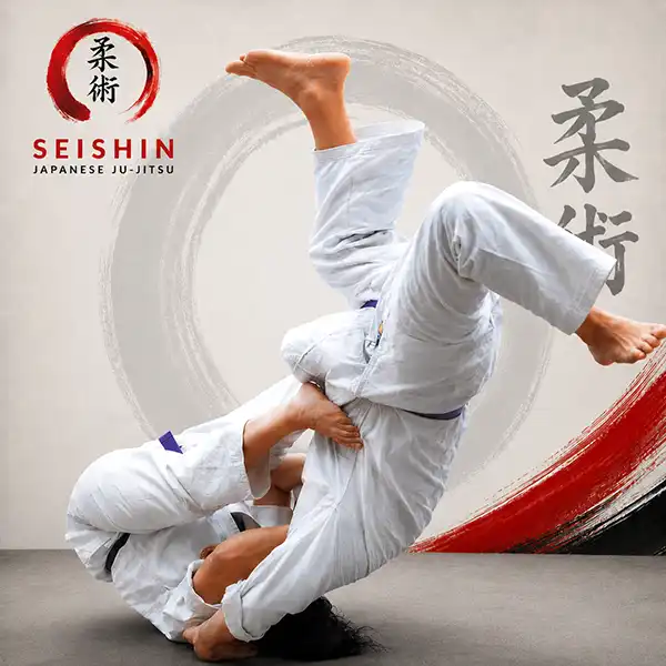 Jiu-Jitsu Self Defence 13