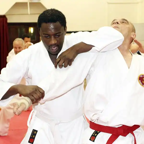 Jiu-Jitsu Self Defence 16