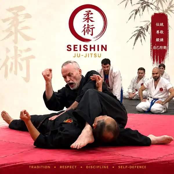 Jiu-Jitsu Self Defence 18