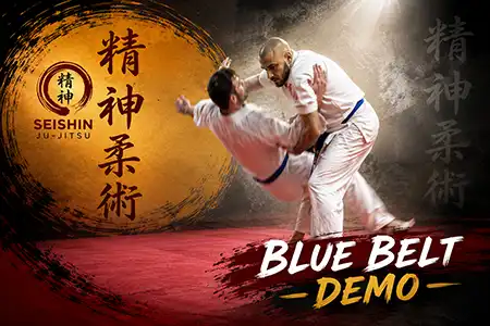 Ju-Jitsu Blue Belts