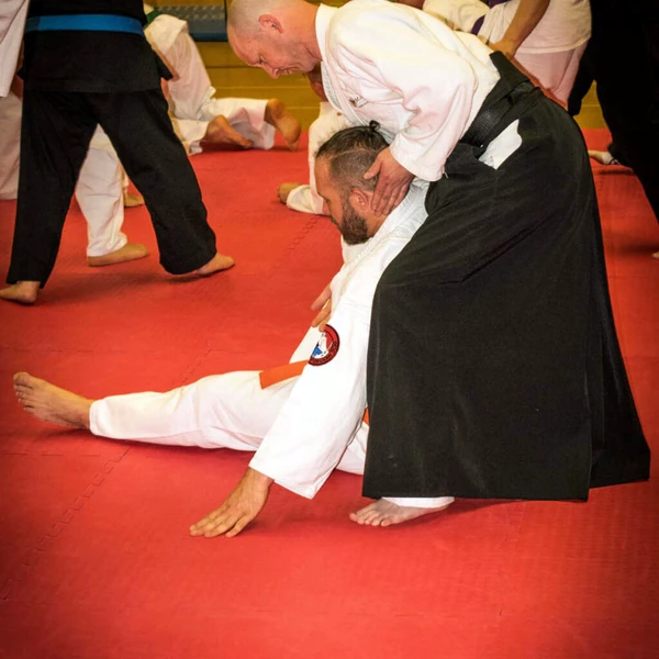 Bushi Jujitsu 2018 10