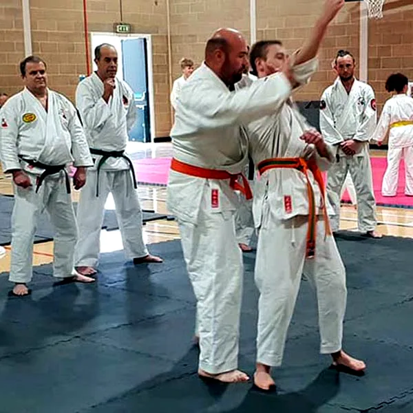 Bushi Jujitsu 2018 10