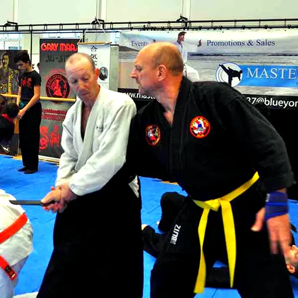Multi Style Jujitsu Seminar 2018 02