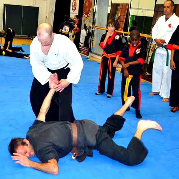 Multi Style Jujitsu Seminar 2018 03
