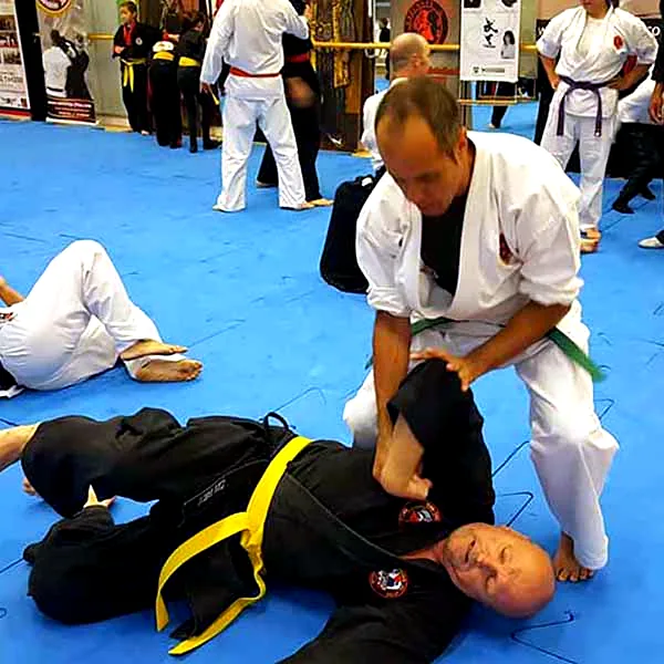 Multi Style Jujitsu Seminar 2018 04