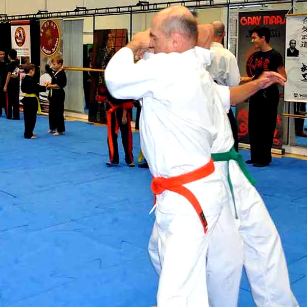 Multi Style Jujitsu Seminar 2018 05