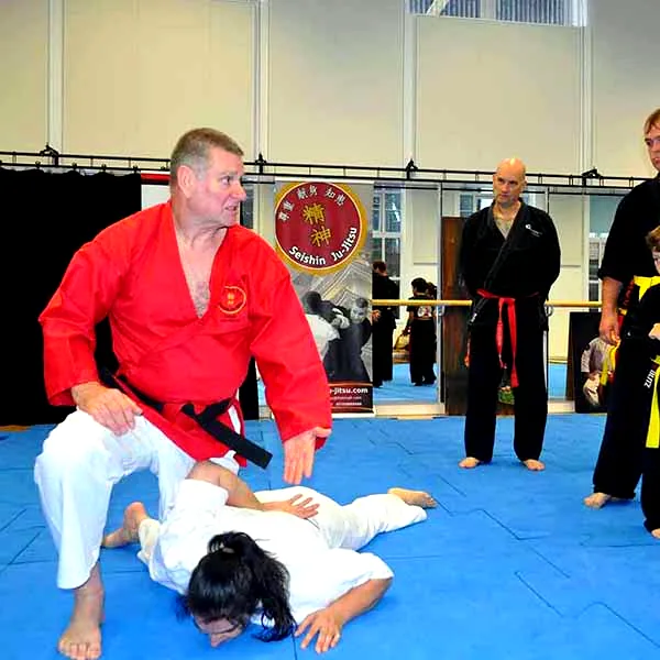 Multi Style Jujitsu Seminar 2018 06