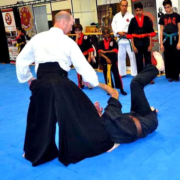 Multi Style Jujitsu Seminar 2018 07