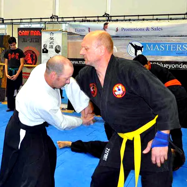 Multi Style Jujitsu Seminar 2018 08