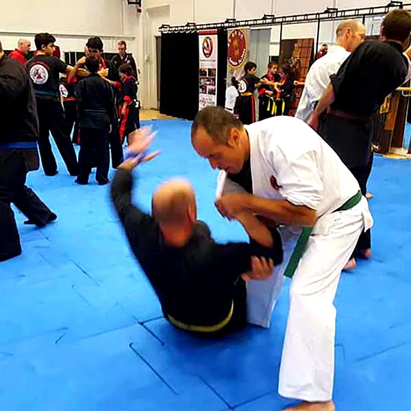 Multi Style Jujitsu Seminar 2018 09