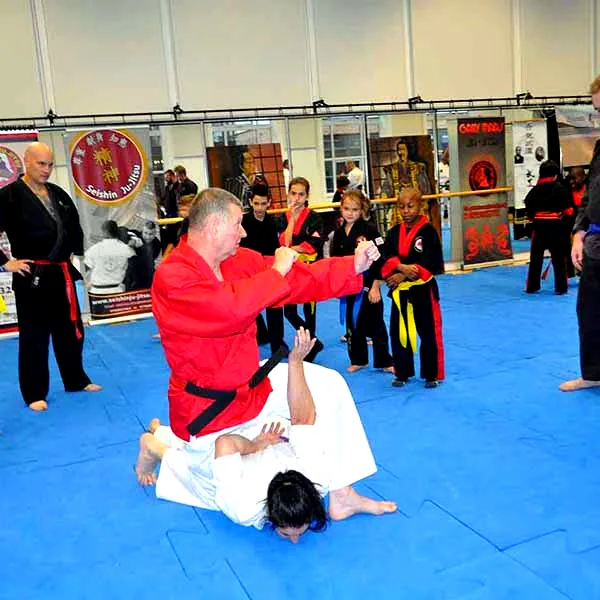 Multi Style Jujitsu Seminar 2018 10