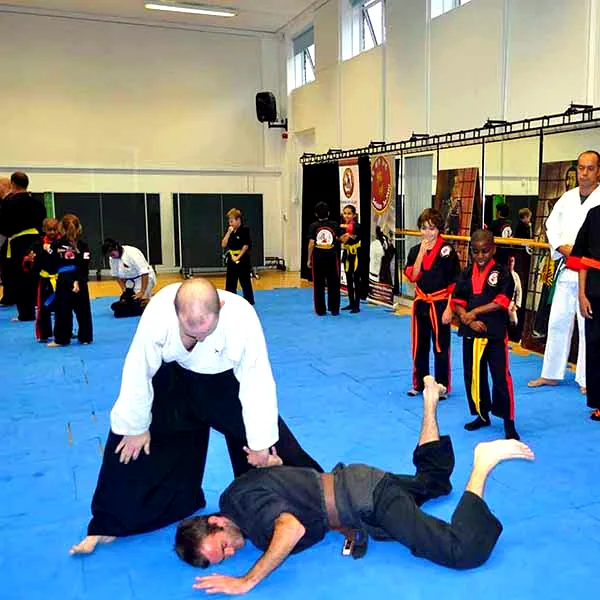 Multi Style Jujitsu Seminar 2018 12