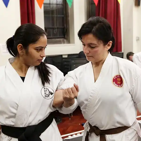 Budo Kai India Seminar