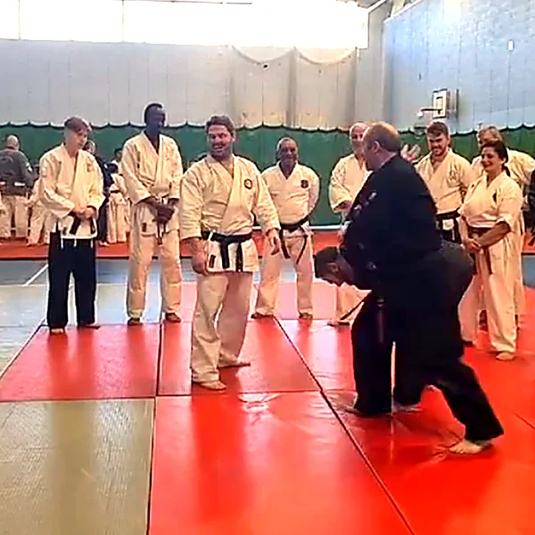 international kempo jutsu Martial Arts 202204