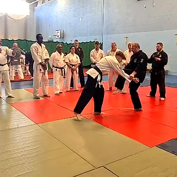 international kempo jutsu Martial Arts 202205
