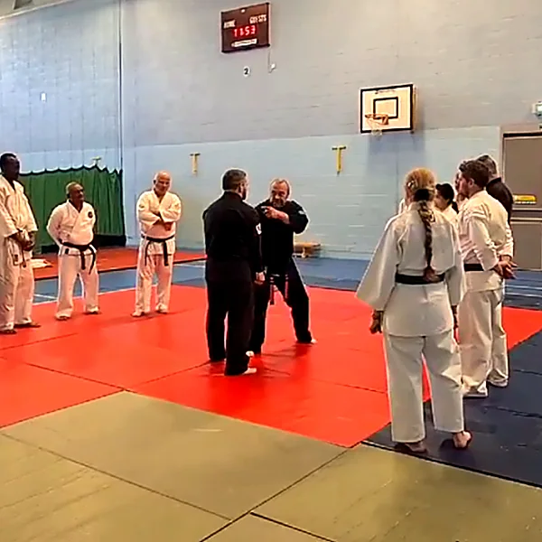 international kempo jutsu Martial Arts 202206