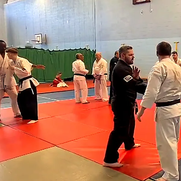 international kempo jutsu Martial Arts 202207
