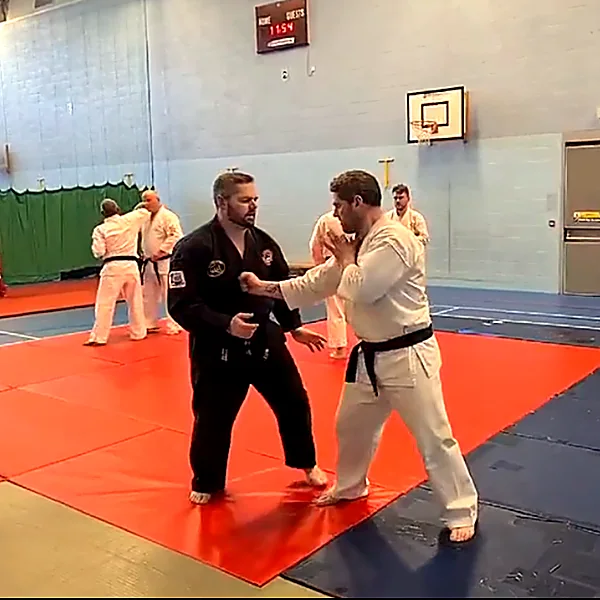 international kempo jutsu Martial Arts 202208