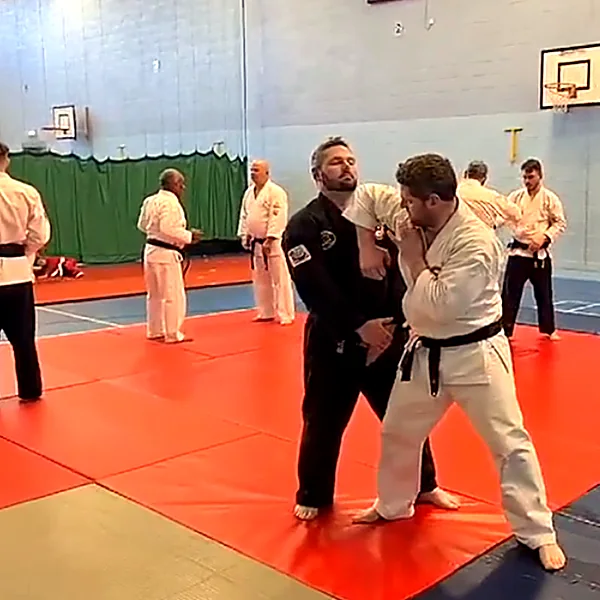 international kempo jutsu Martial Arts 202209