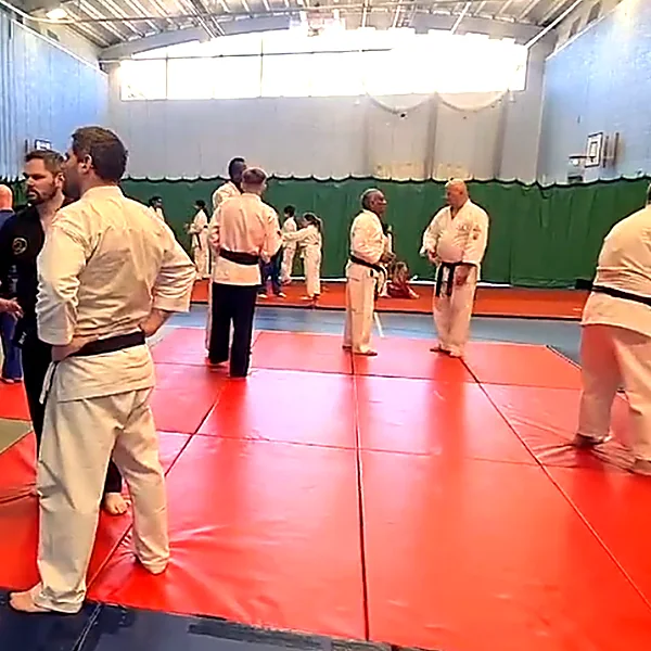 international kempo jutsu Martial Arts 202210