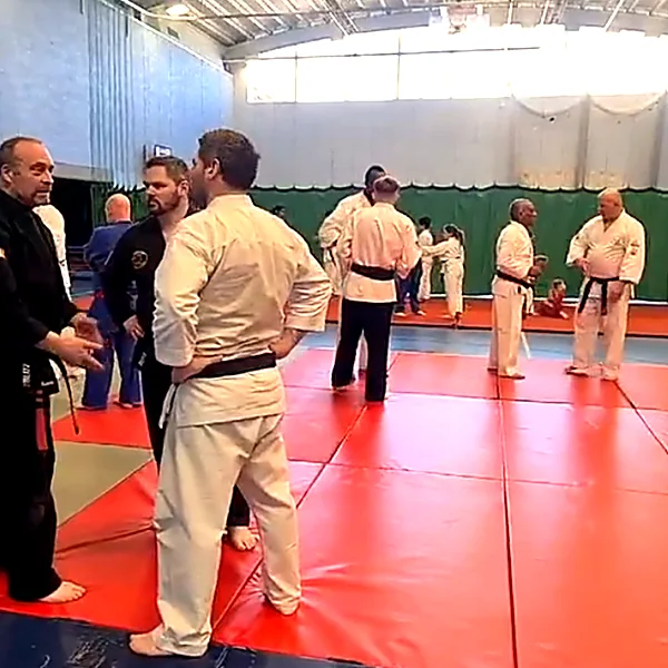 international kempo jutsu Martial Arts 202211