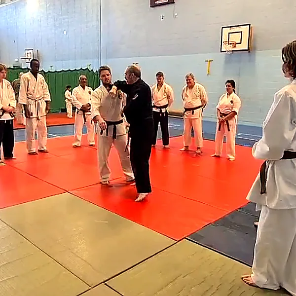 international kempo jutsu Martial Arts 202212