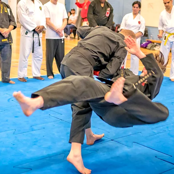 International WBKF Seminar 05