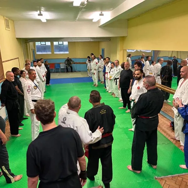 Mixed Martial Arts Seminar 02