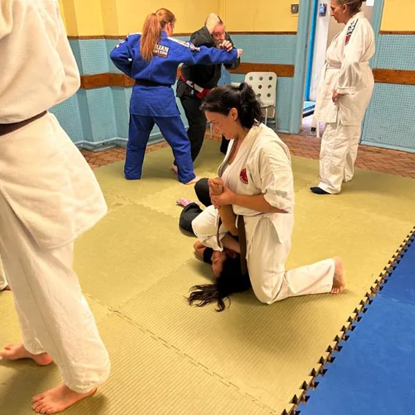 Mixed Martial Arts Seminar 05