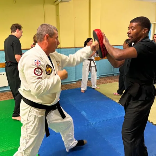 Mixed Martial Arts Seminar 07