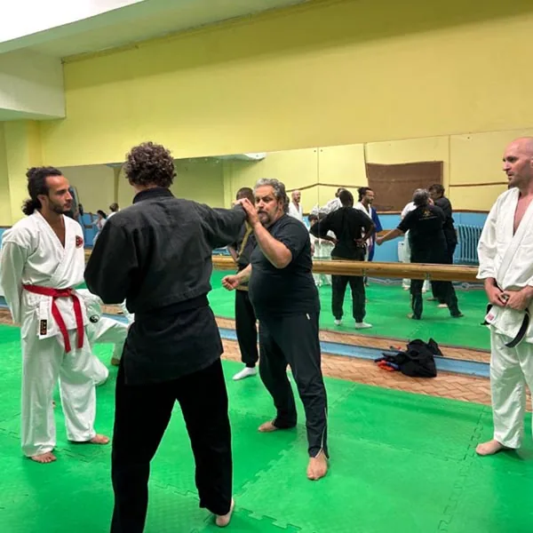 Mixed Martial Arts Seminar 08