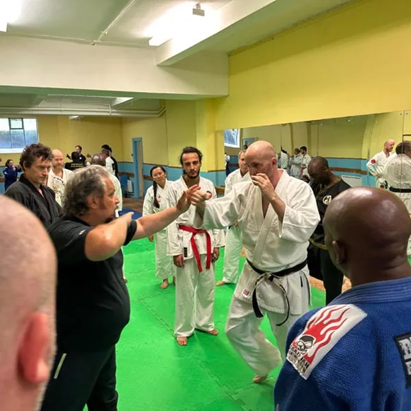 Mixed Martial Arts Seminar 09