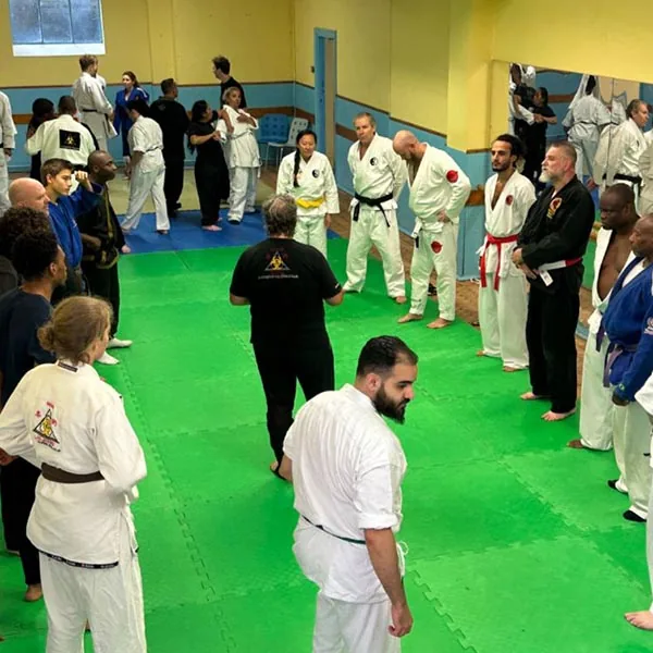 Mixed Martial Arts Seminar 12