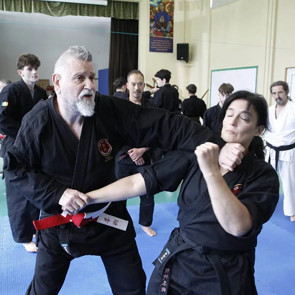 2024 Shuren Irish Bash Seminar 08