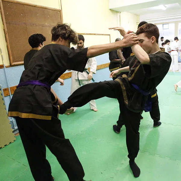 2024 Mixed Martial Arts Seminar in North London 10